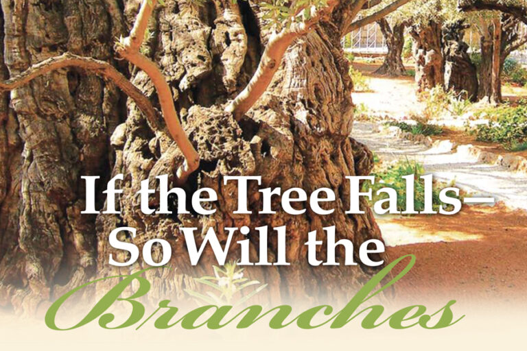 if-the-tree-falls
